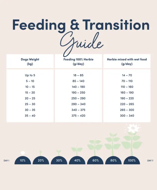 Plant-based superfood for adult dogs