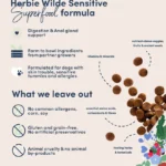 Plant-based superfood for adult dogs
