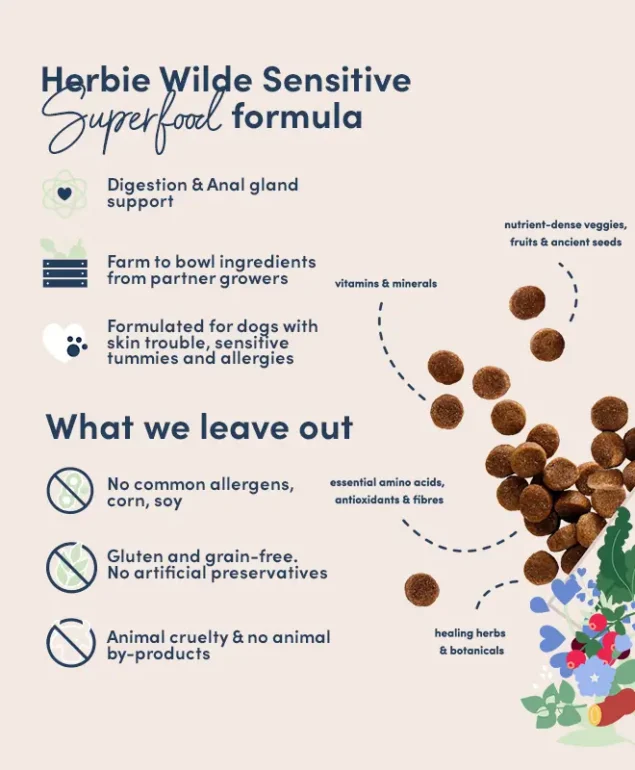 Plant-based superfood for adult dogs