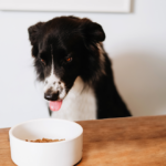 Herbie Wilde Plant-based Superfood For Adult Dogs – Product Image 3