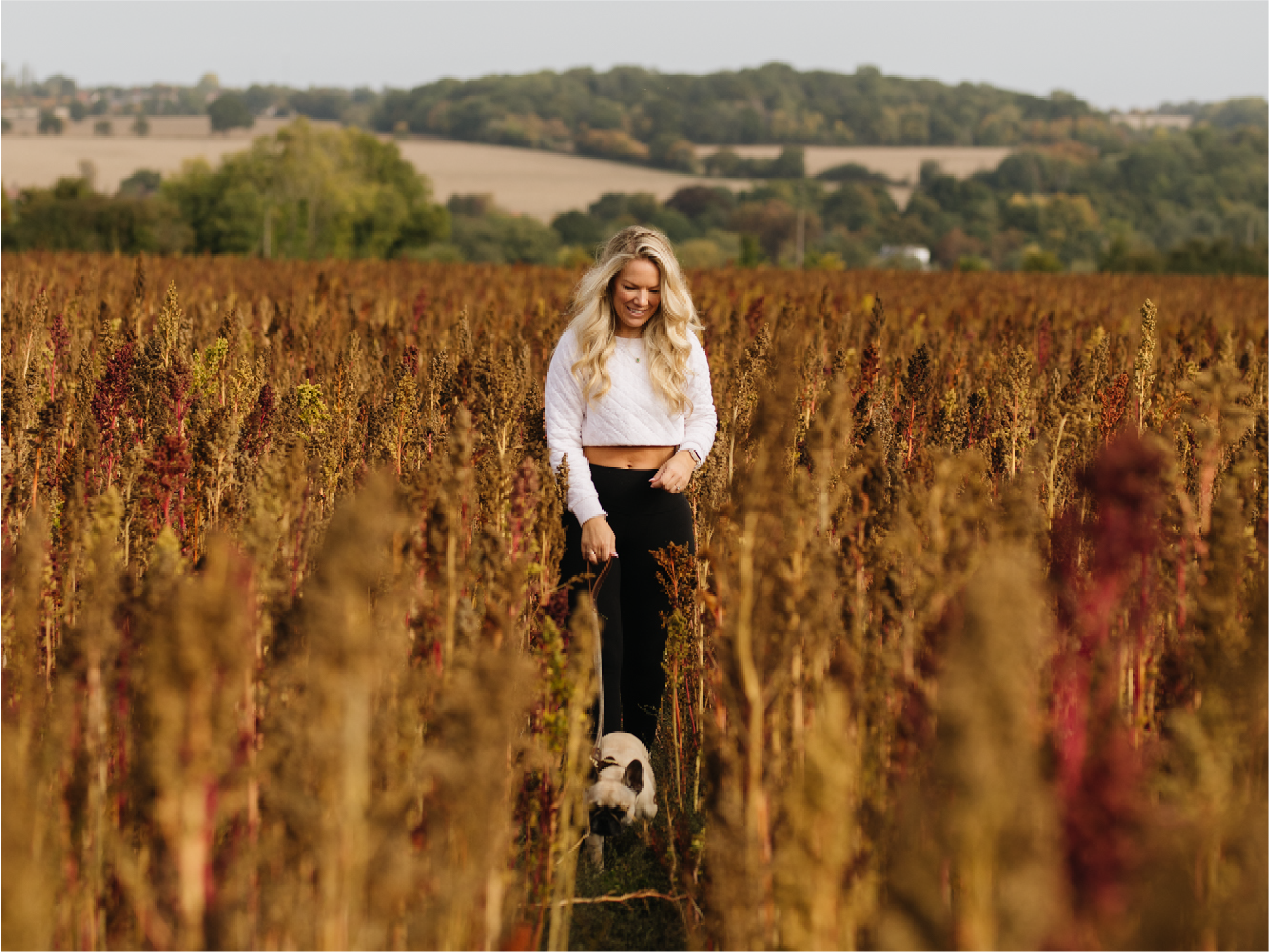 Herbie Web Provenance – Plant-based Superfood Dog Food – Ella and Bertie
